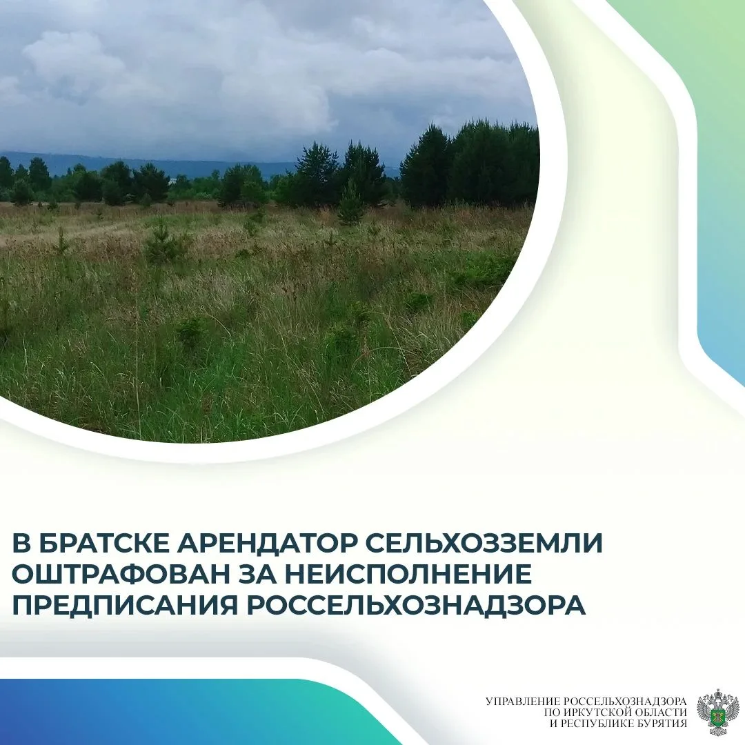 Мировой судья привлек к административной ответственности арендатора земельного участка ...
