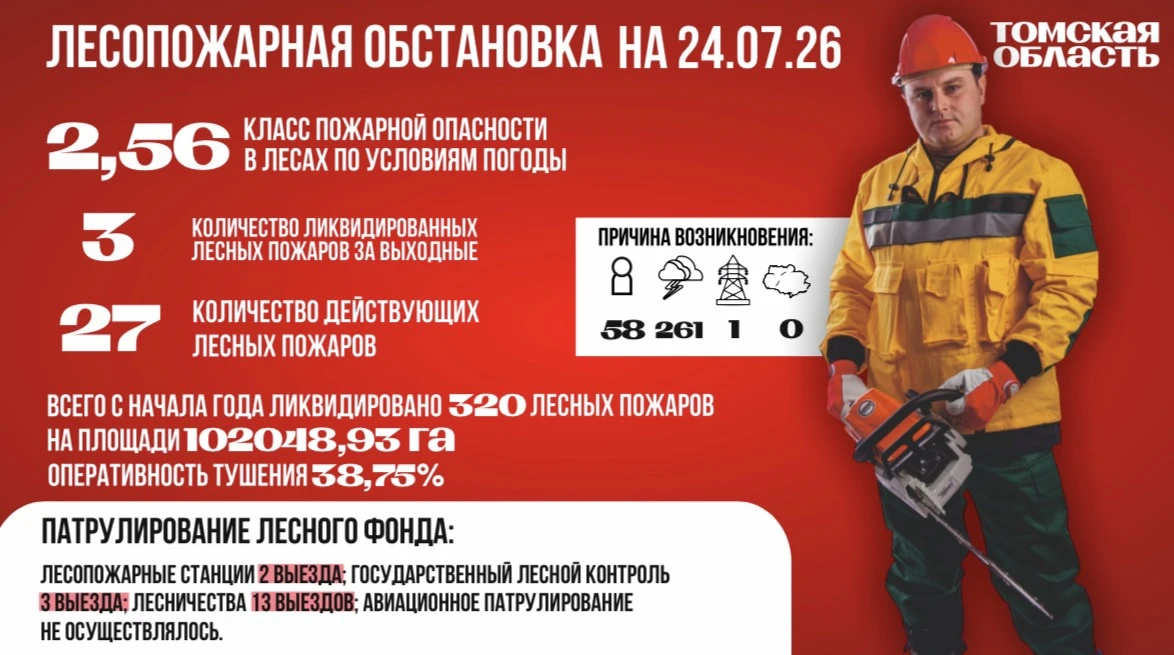 На территории Томской области класс пожарной опасности в лесах по условиям погоды 2,56 (средняя пожа