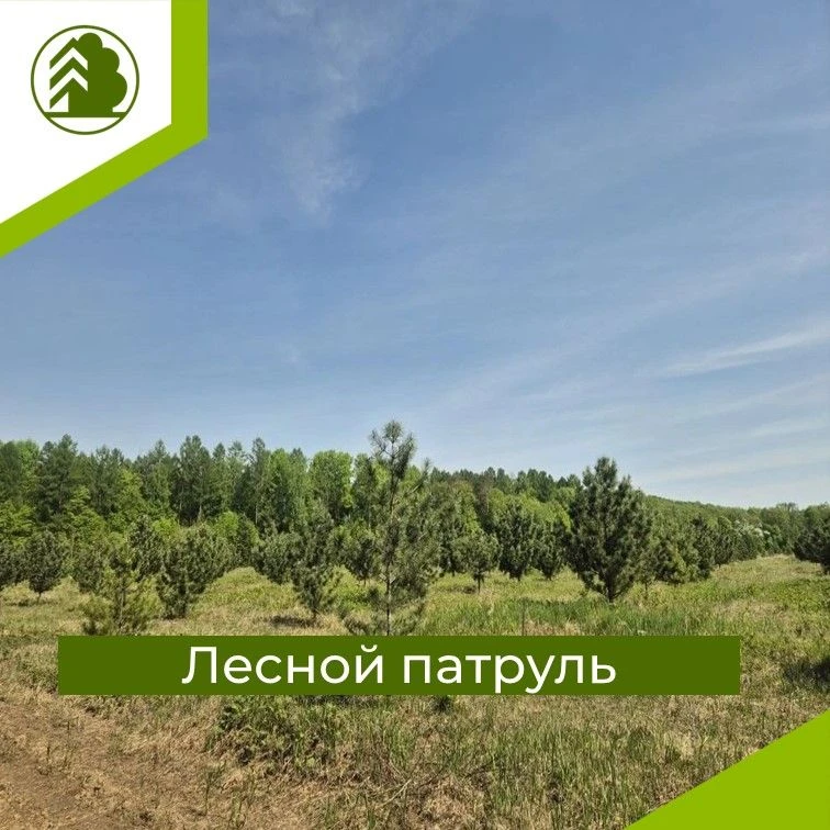 ЛЕТО В ЛЕСУ: ИНСПЕКТОРЫ НА СТРАЖЕ ПОРЯДКА!🫡🤝