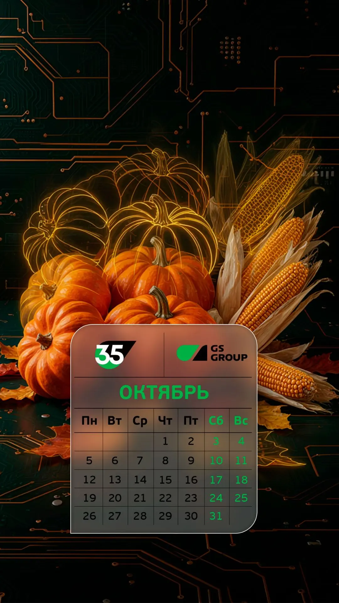 🍁 Время видеть больше