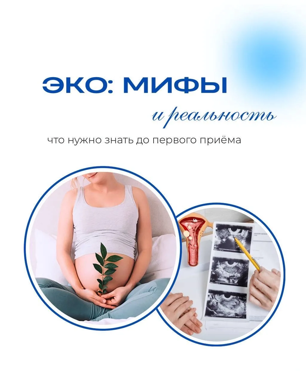 ЭКО: мифы и реальность🍃