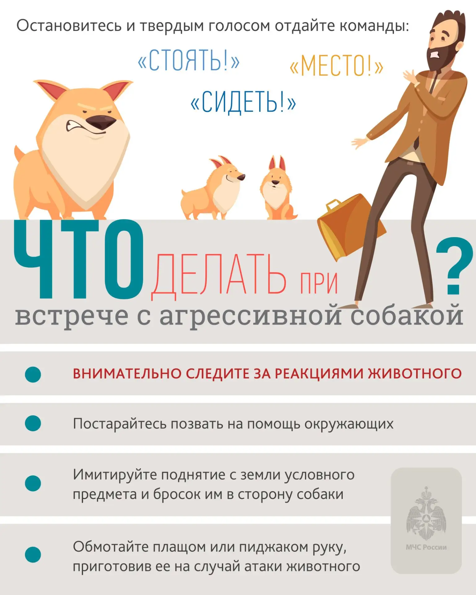 Как себя вести, если на вас напала собака: сохраняйте спокойствие