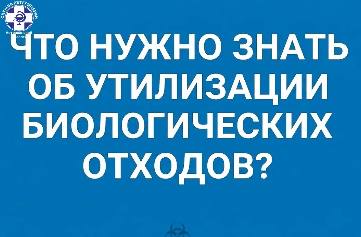 ⚠ Важно: Захоронение трупов животных, биологических отходов (плаценты, абортированных п...