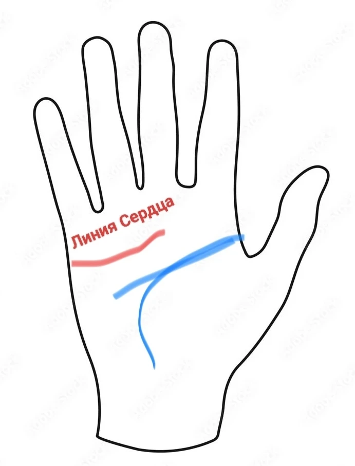 🖐 Короткая линия Сердца 🖐