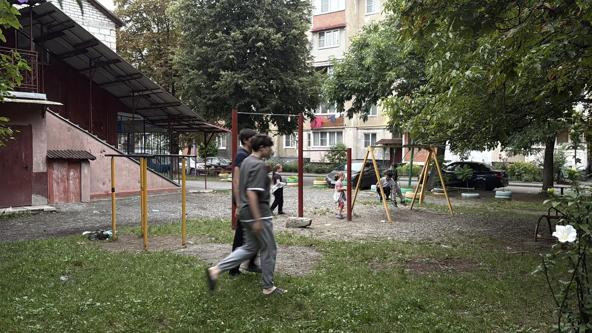 За что мы платим