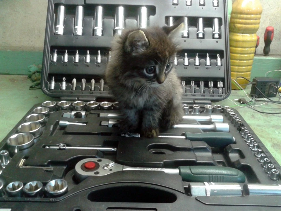 🐈 Пушистый DRIVE2: контролёры ОТК  Если купленные автозапчасти оказались с дефектом, по Закону о защ