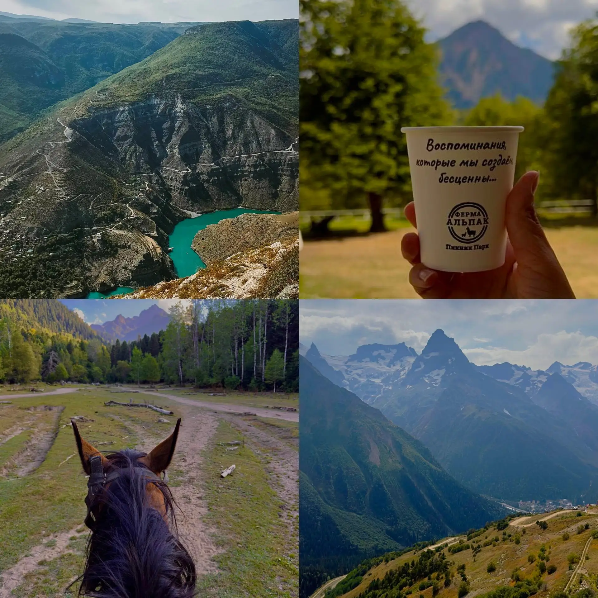 Новинка для тех, кого тянет в горы🔥"Большой тур по Кавказу"  на 14 дней ⛰️ 

Маршрут тура впечатляе