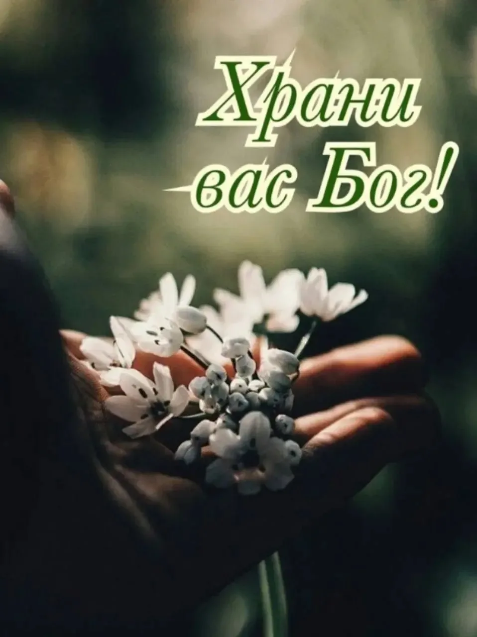 С БОГОМ В НОВЫЙ ДЕНЬ. 

Жить проще — лучше всего. Голову не ломай. Молись Богу. Господь всё устроит.