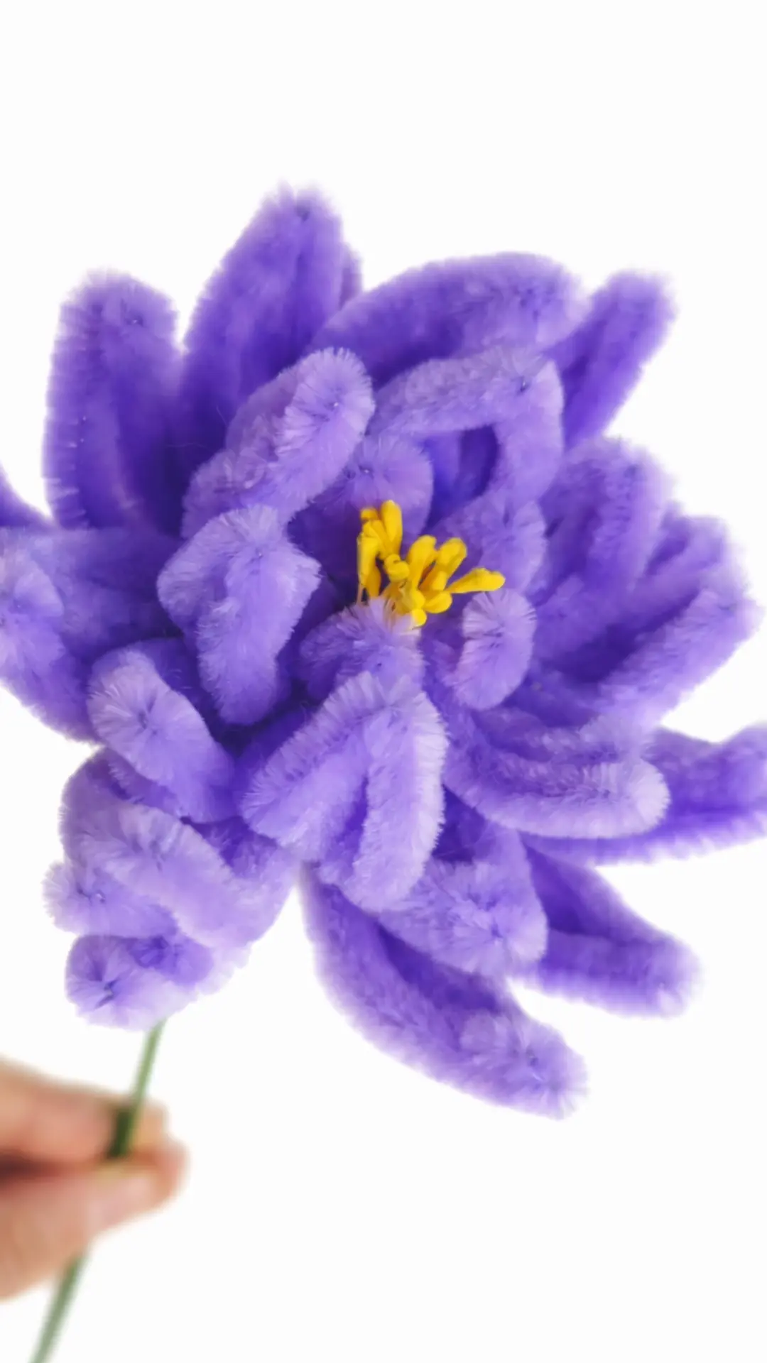 💜 Астры из синельной проволоки 💜  Астра поражает своим разнообразием 🌸 Бывают мелколепестковые и кру