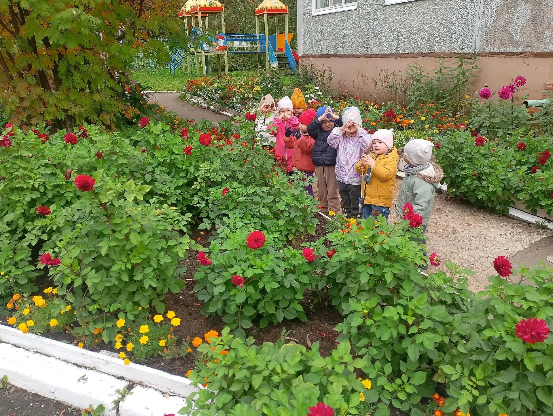 🌹🌺🍀Чудесная осень помогла нашим малышам познакомиться с цветами на клумбах нашего де...