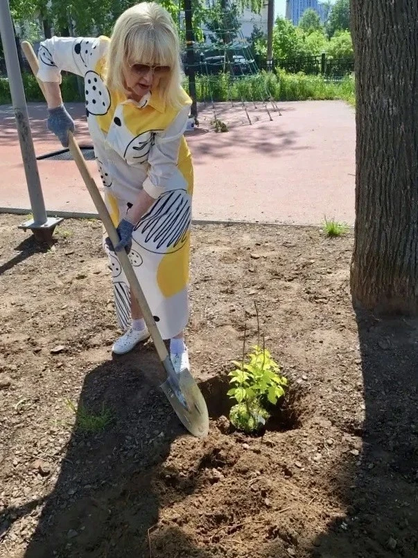 🌸 В Чебоксарах ветераны и школьники высадили сиреневую аллею, посвященную памяти хлопчатобумажного к