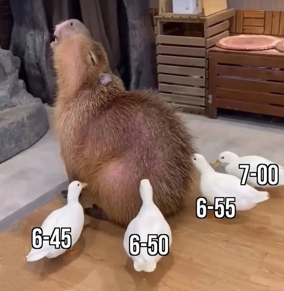 Я и мои будильники на работу: