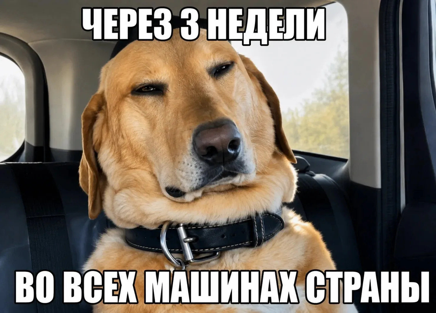 А вас родители уже начали раньше поднимать, чтобы восстановить режим к школе?