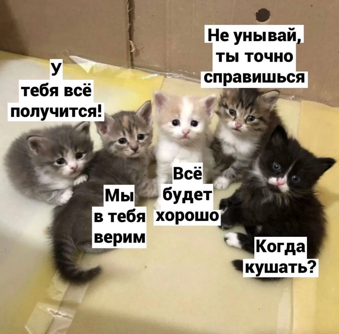 ❤️ Самый счастливый день в году отмечается сегодня

Отправьте тому, кому желаете счастья и прекрасно