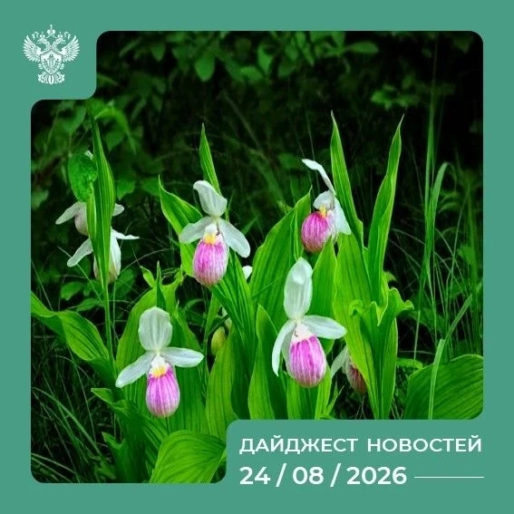 Самые интересные события России на 24.08.2026 💬