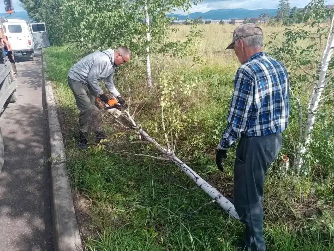 Убираем поваленные деревья и ветки