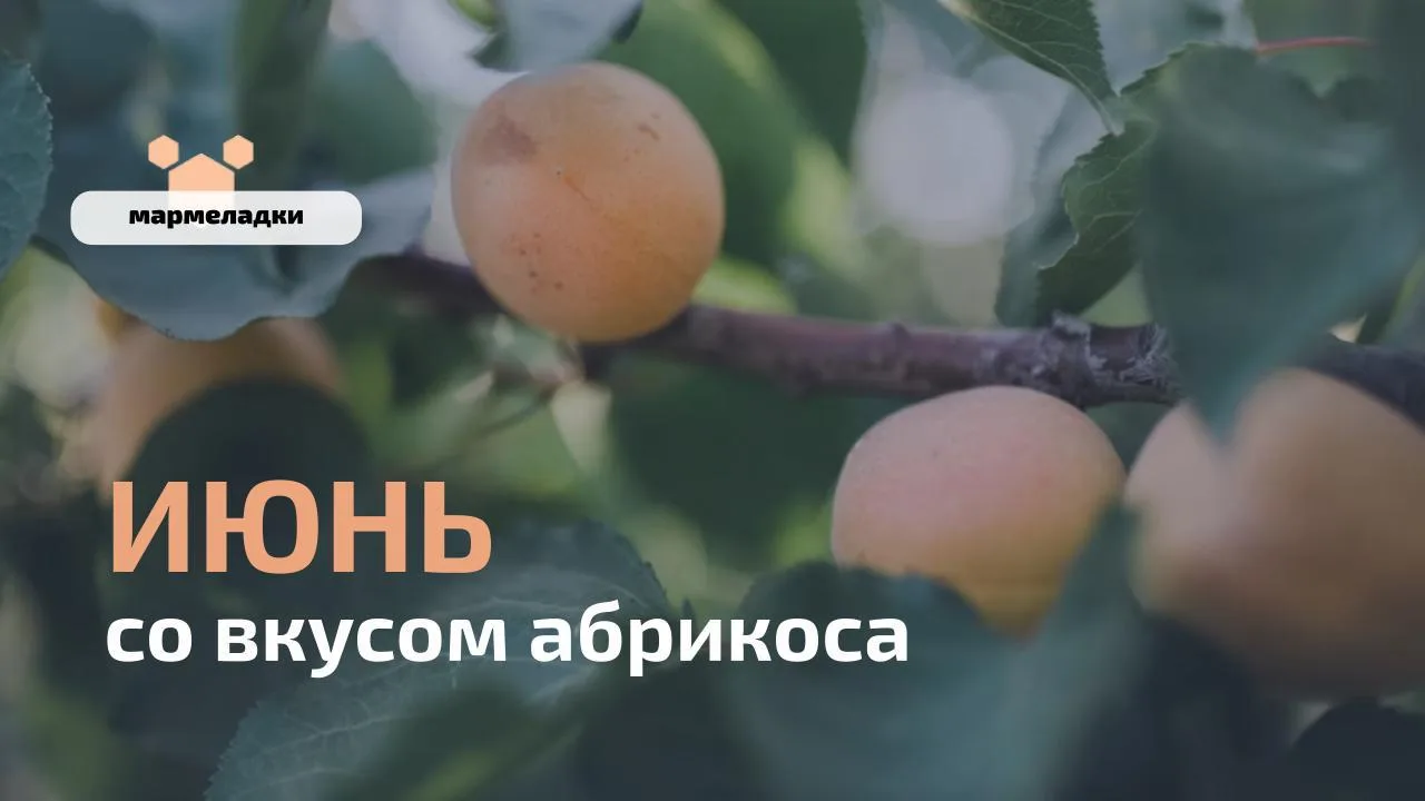 😊Месяц с абрикосами: 3 удивительных эффекта