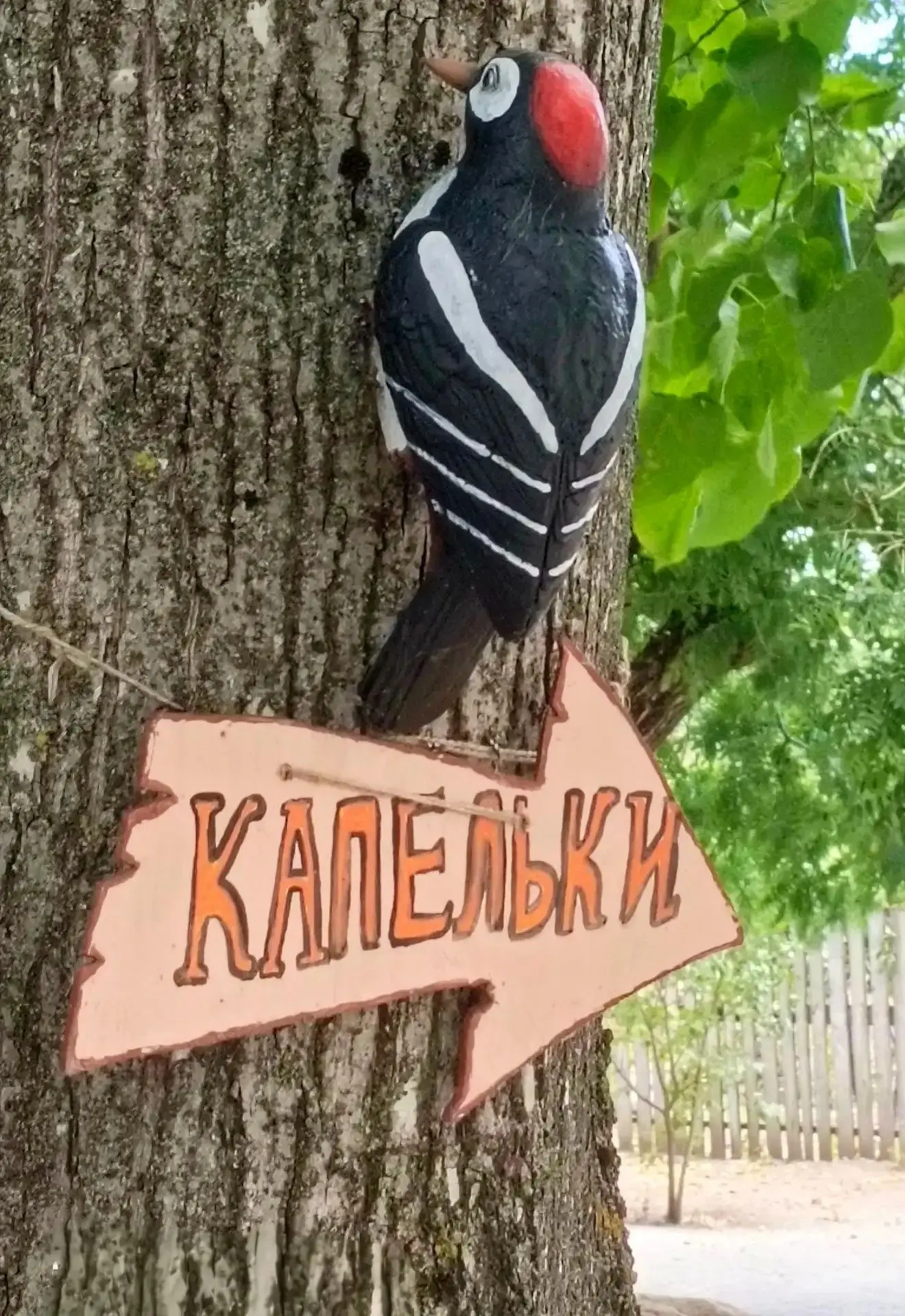 🌳 Волшебное дерево группы № 3 снова радует сюрпризами! ✨