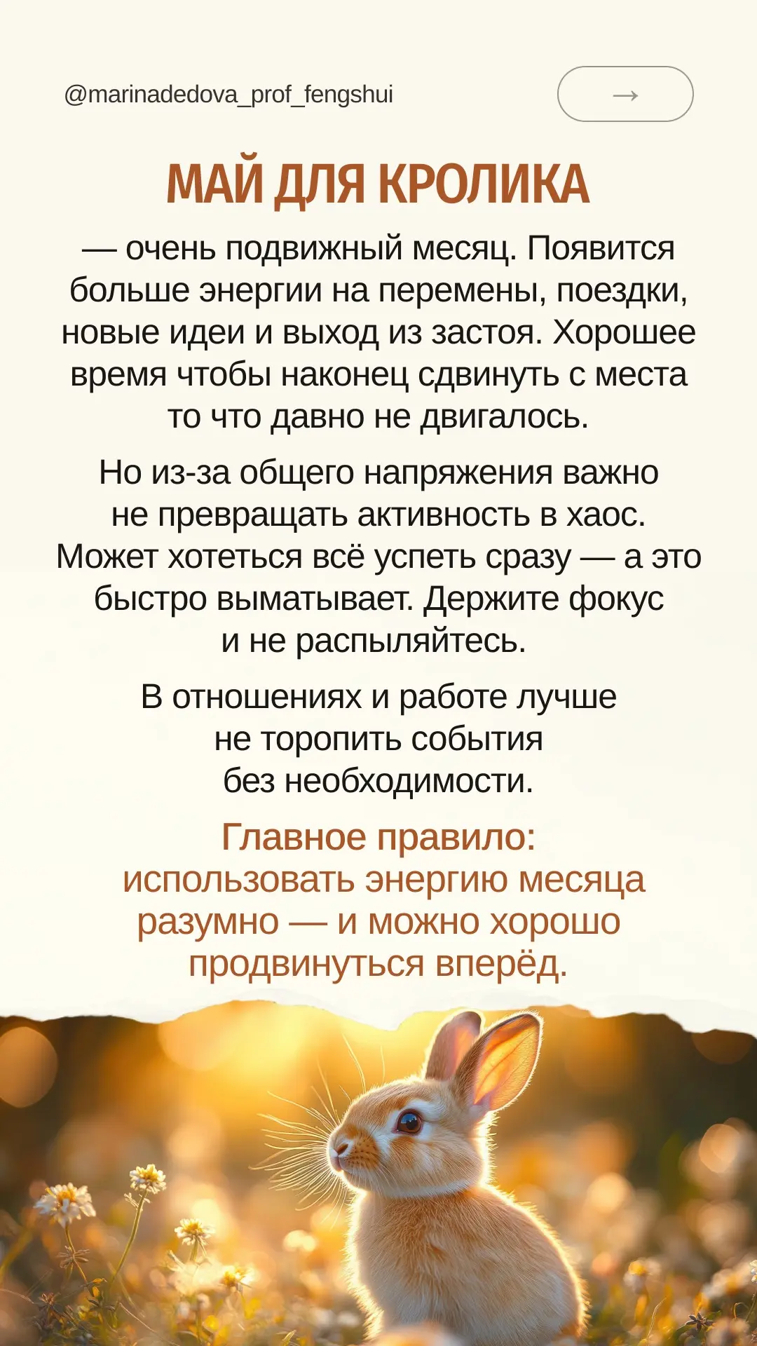 Крыса, Бык, Тигр, Кролик или Дракон в карте рождения — год, месяц, день или час? Листайте до своего 