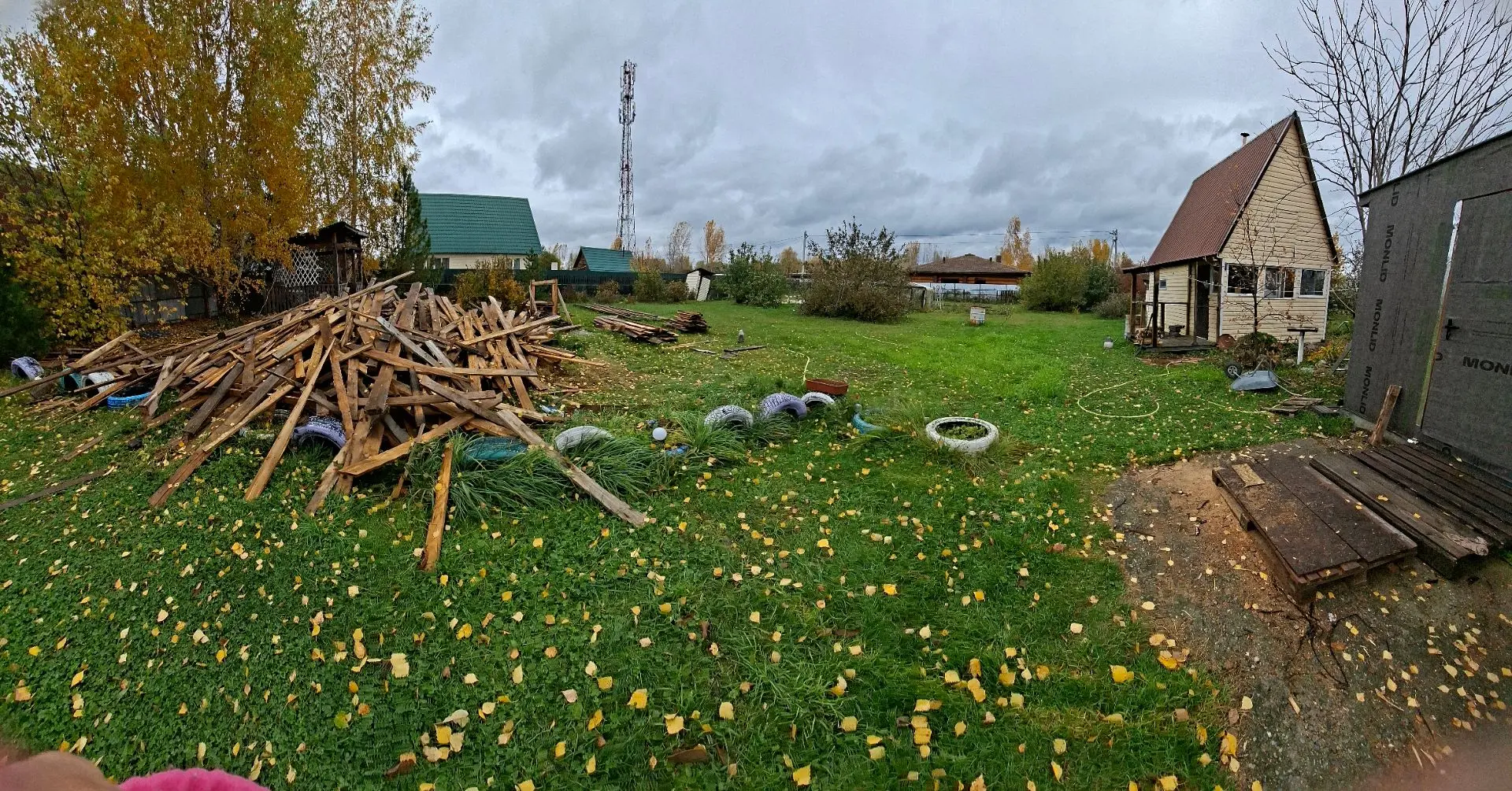 Мы на даче. Каждый занят своим делом. Я 🏃🏃🏃😆