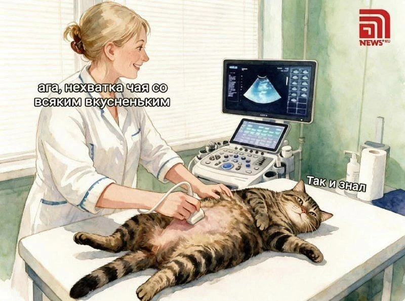 Они знают, где болит, даже когда пациент молчит.