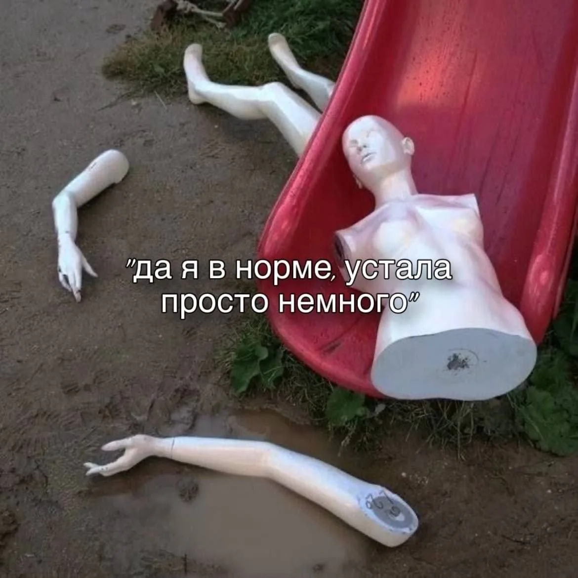 ща ща