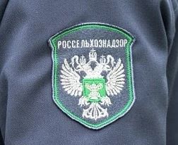 ❗️В масле тульского производителя нашли дрожжи и плесень