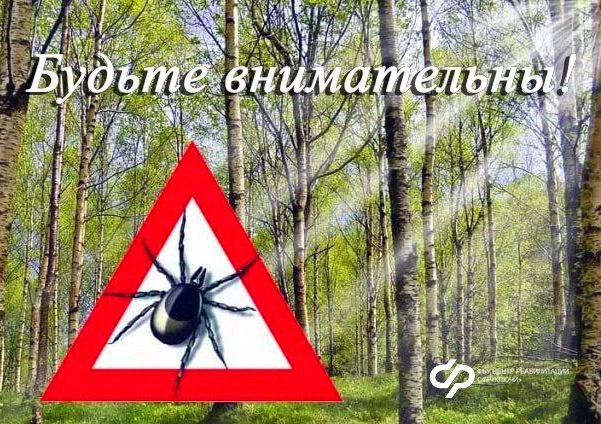 🛡️Простые правила для безопасности прогулок