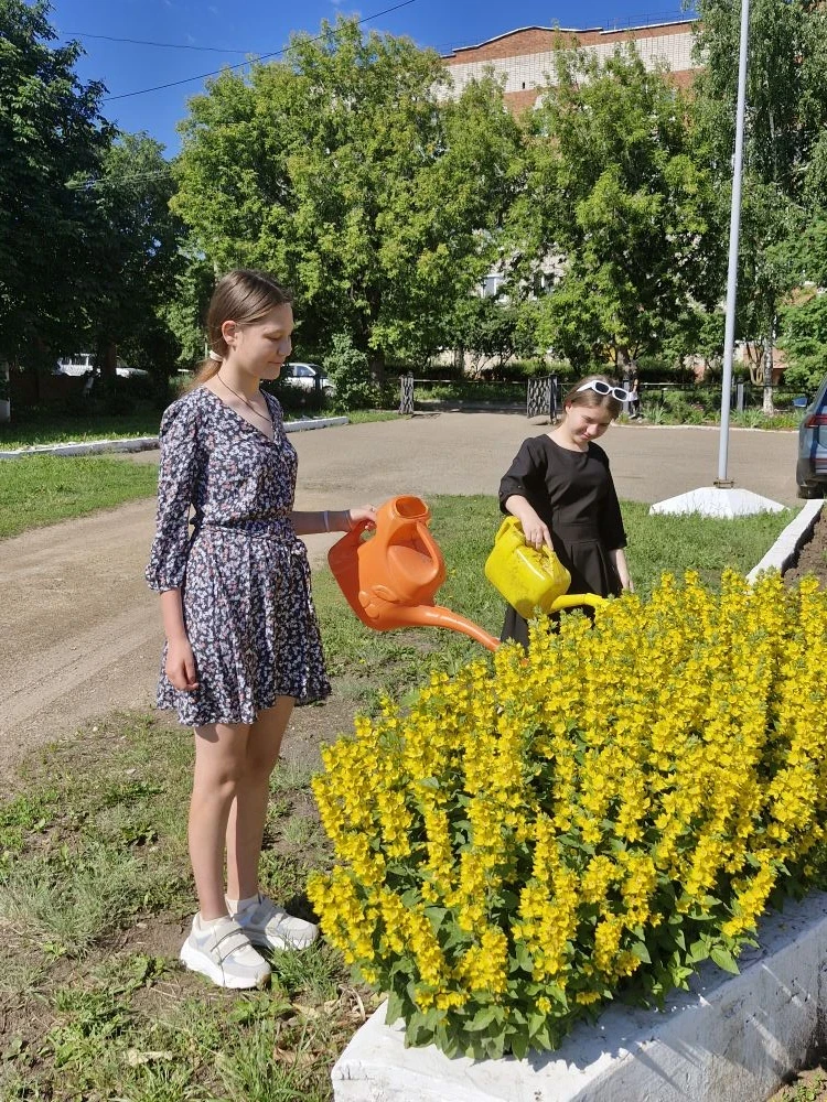 в течение учебного года под руководством учителя Мингазовой Р.З. реализуется проект "Благоустройство
