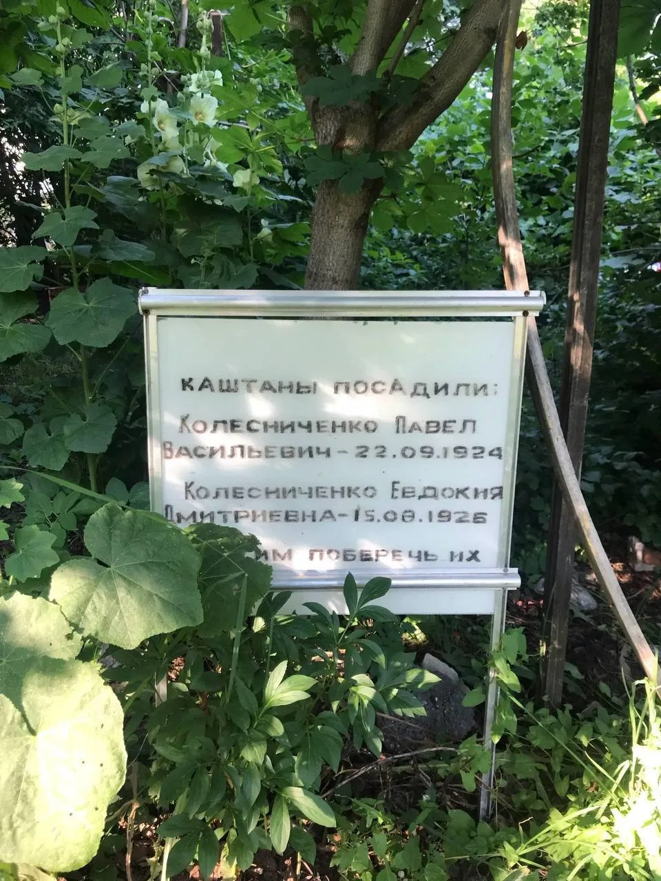 В Ижевске забросили каштаны и памятную табличку на перекрёстке 30 лет Победы и Кирова