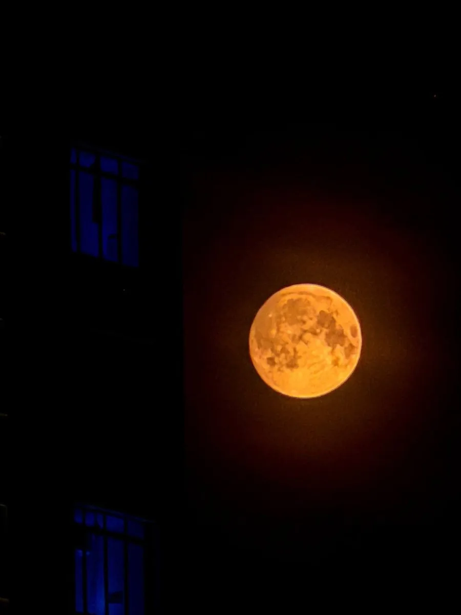 🌕 Осетровая Луна над Югрой: несколько кадров с прошлой ночи, когда небо озарило яркое ...