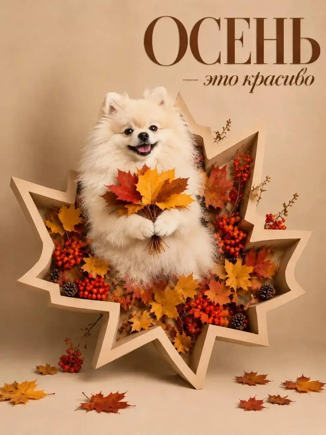 🍂Фотоконкурс " Осень -это красиво!"
