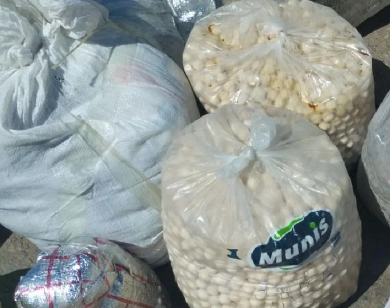 В Алтайском крае пресечен незаконный ввоз кисломолочной продукции из Узбекистана
 
✅Сотрудниками Упр