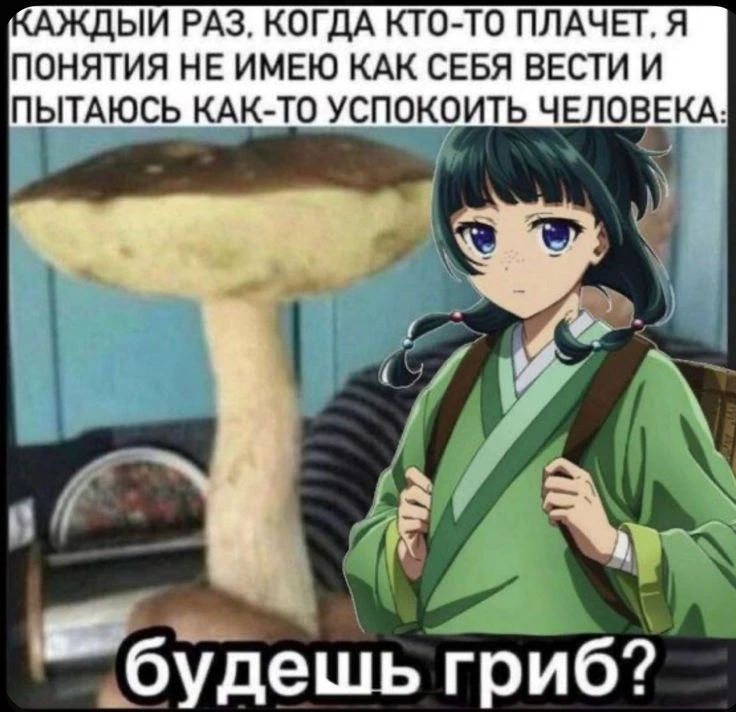 Все наши каналы