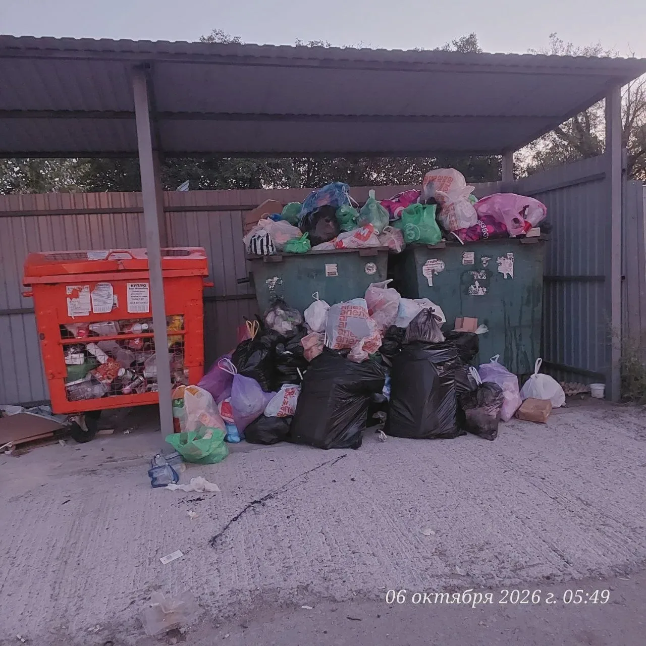 🗑️ Пятигорск: улица П. Тольятти, 36 завалена мусором