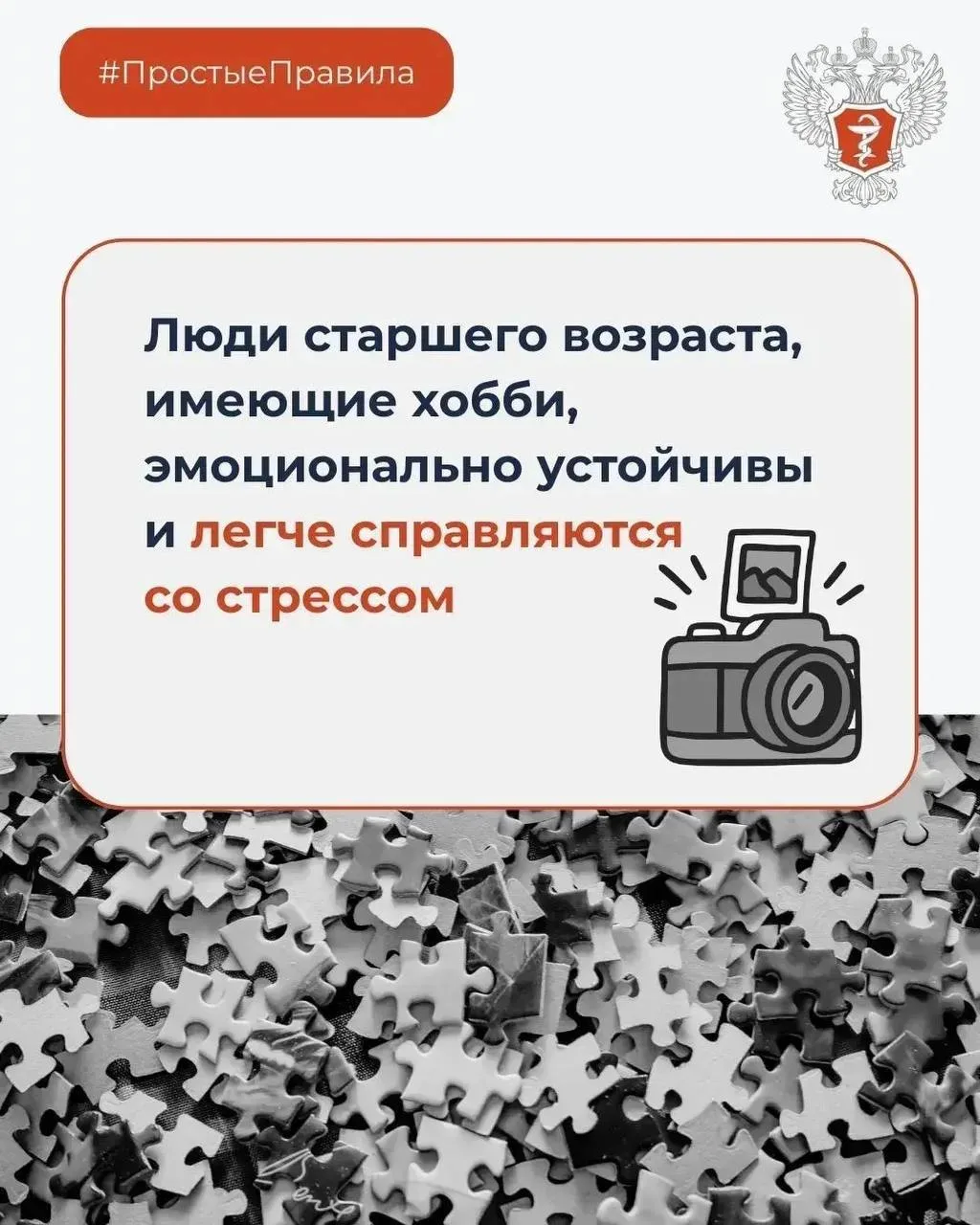 Хобби продлевает жизнь: врачи рассказали жителям Приморского края, почему важно любимое дело  Наприм
