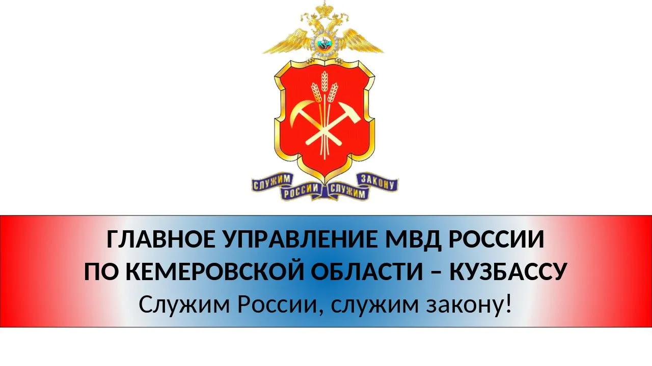 А так же о схемах мошенничества в очень интересном и доступном для любого читателя формате, предлага
