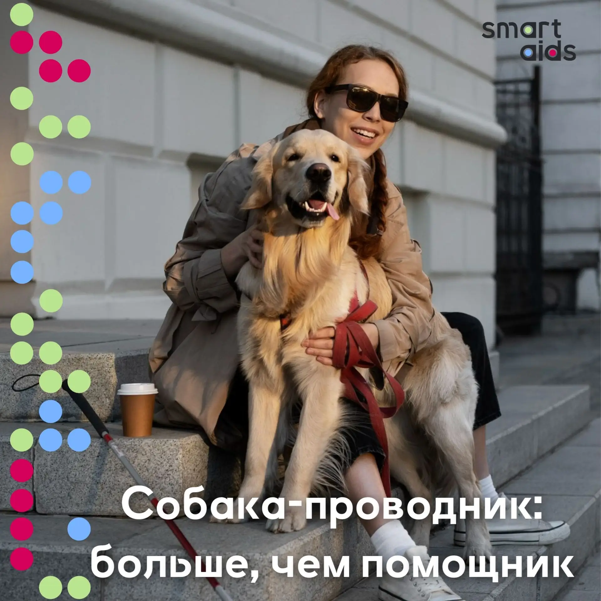 Собаки-проводники принимают решения ради безопасности хозяина ⚡️

Финские исследователи из Университ