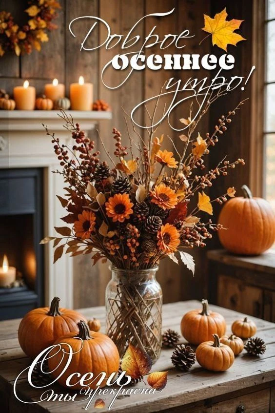 Доброе утро! 🌷