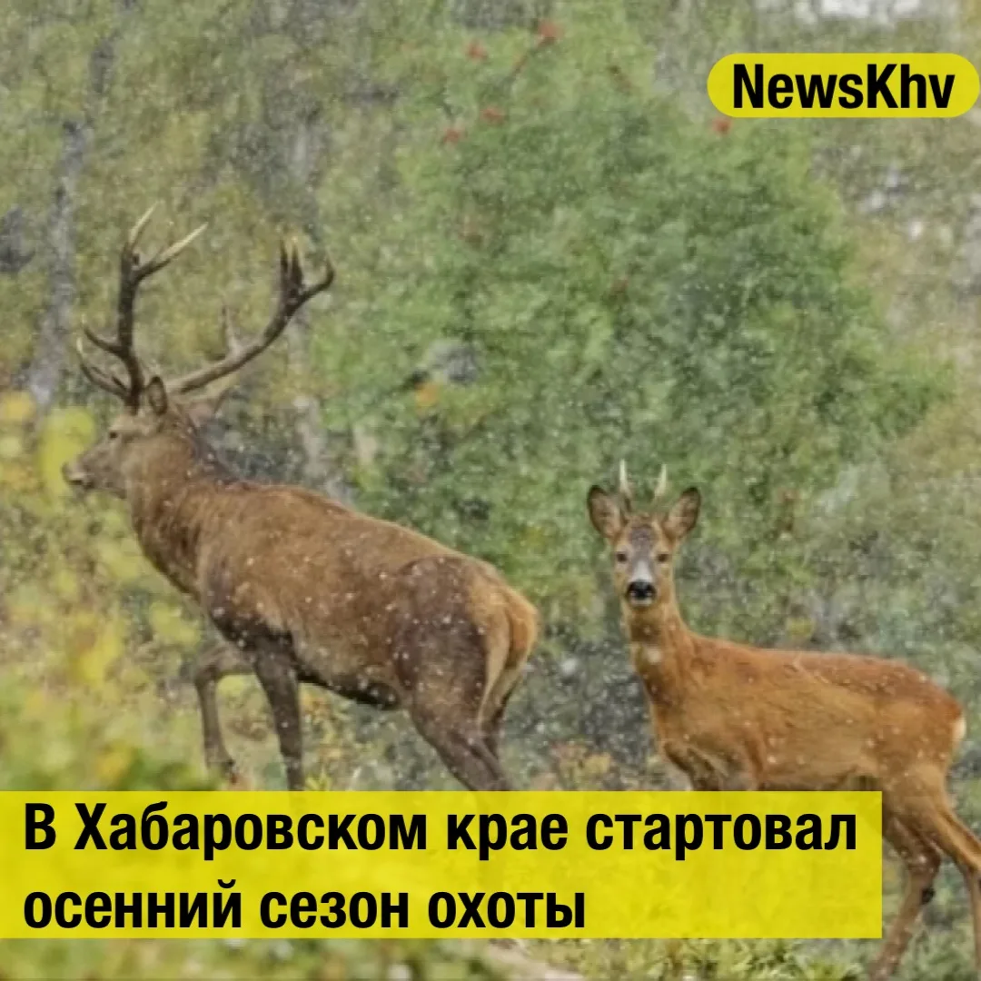 В Хабаровском крае стартовал осенний сезон охоты