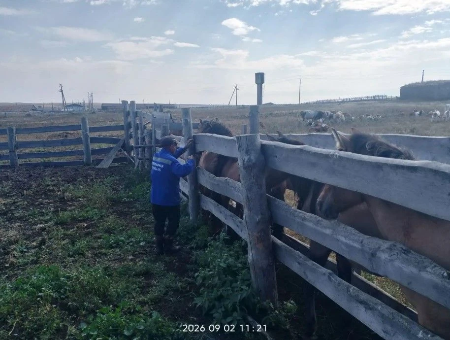 В Татлыбаевском сельсовете прошли совместные мероприятия с полицией, ветеринарной служб...