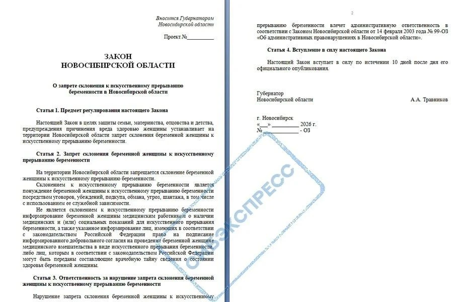 В Новосибирской области запретили склонять беременных к аборту.