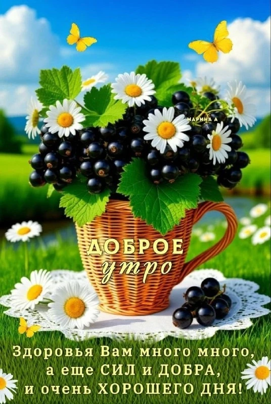 Открытки: подписаться ❤️