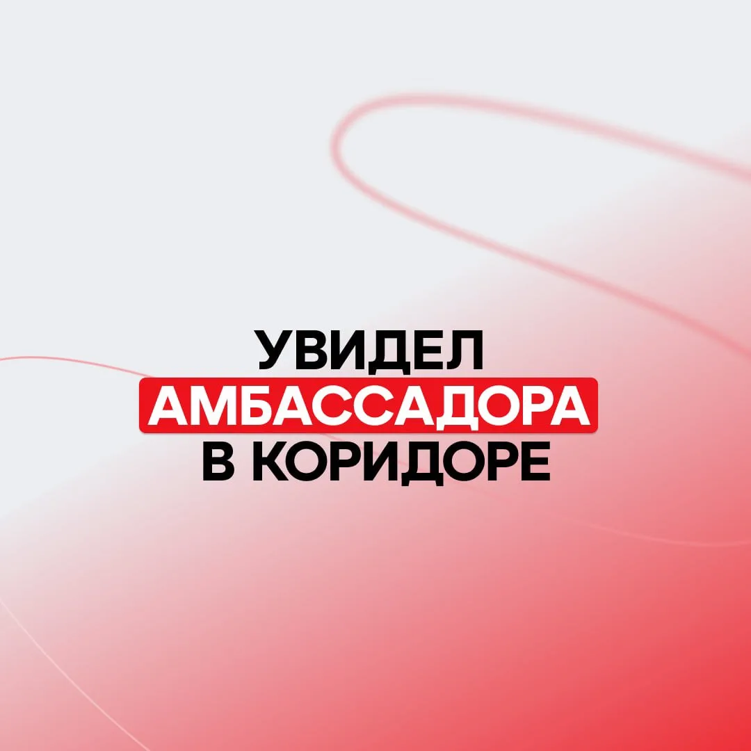 А вы точно настоящий студент? ✌️