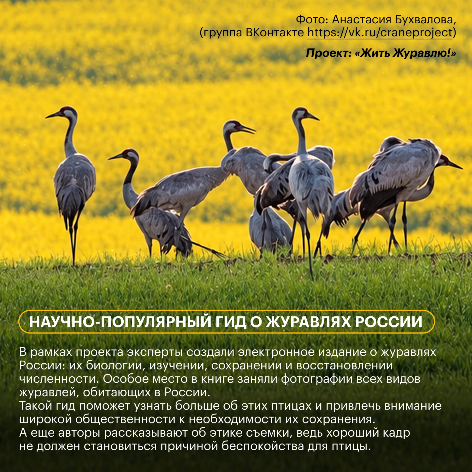 🌿 Грантовый проект – это не обязательно экспедиция с большой группой ученых и бюджетом...