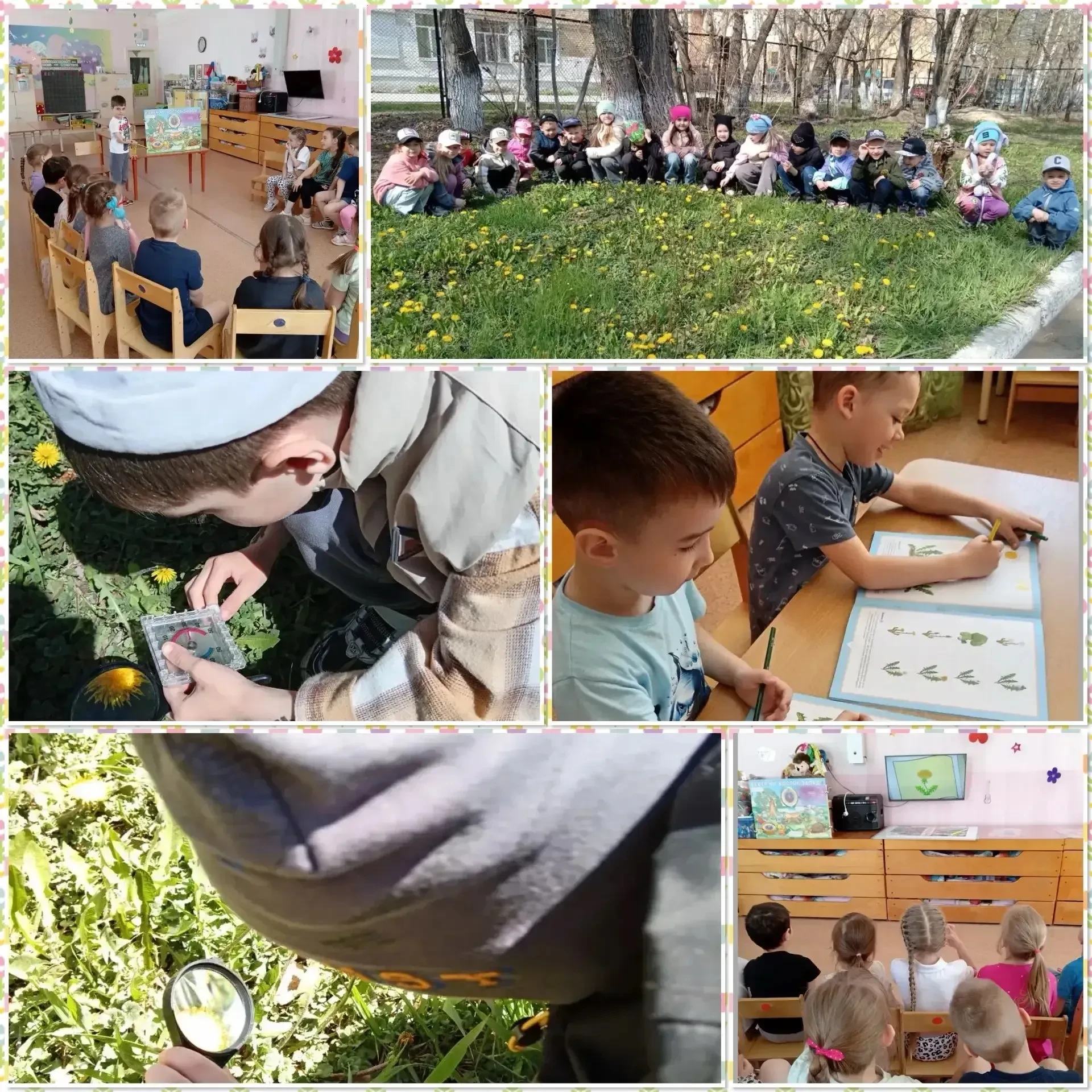 ✨День одуванчика в старшей группе 5Б✨🌼   В Международный день одуванчика, в старшей группе нашего де