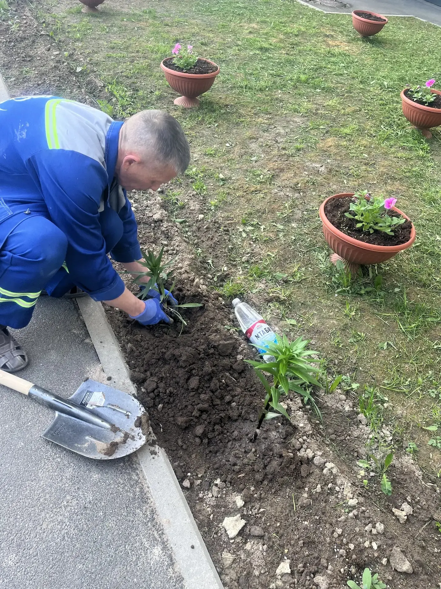 Продолжаем работы по озеленению! 🌿🌾 Сегодня в ЖК «Аннинский парк» высажены цветы. 🌸🌺🌼