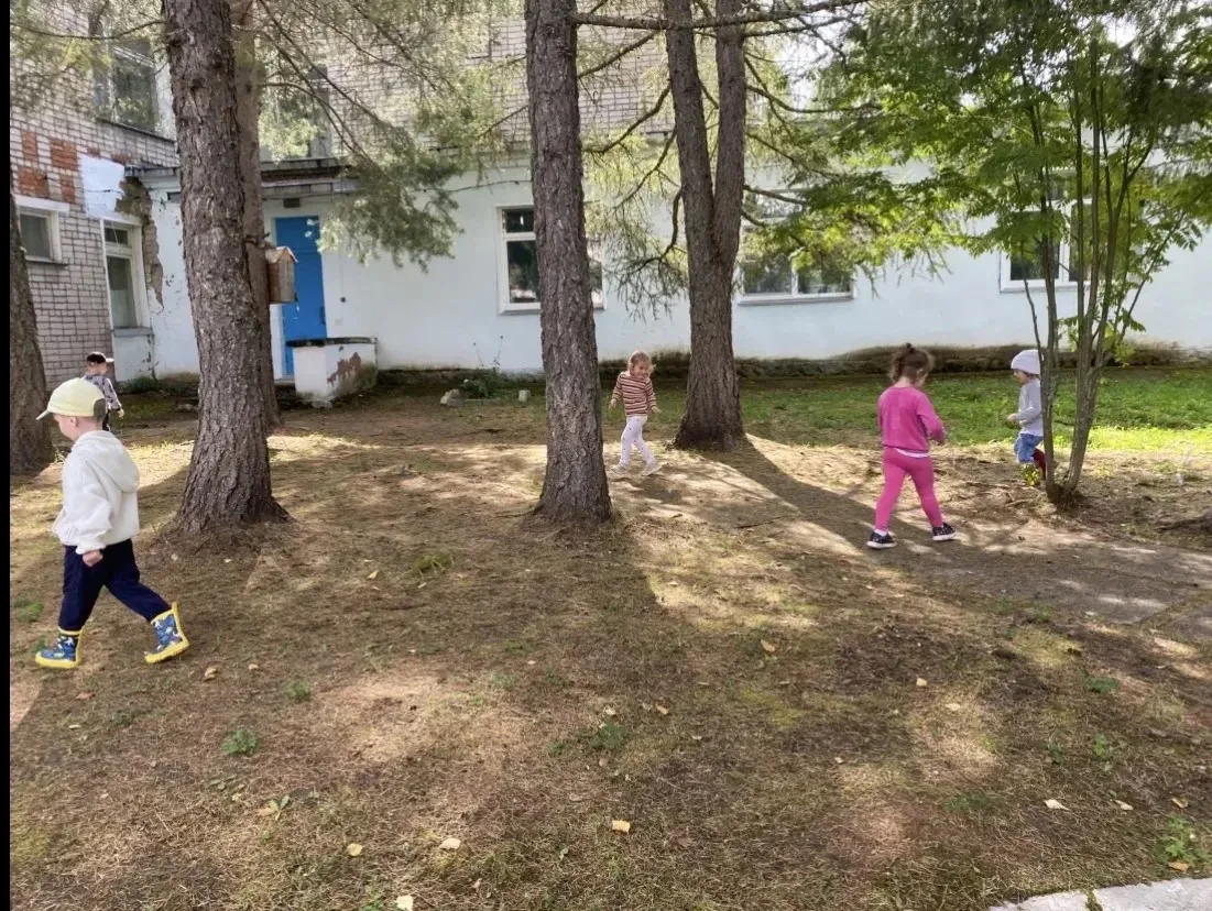 Сегодня ребята из группы «Непоседы» отправились в настоящее приключение 🌳, они стали о...