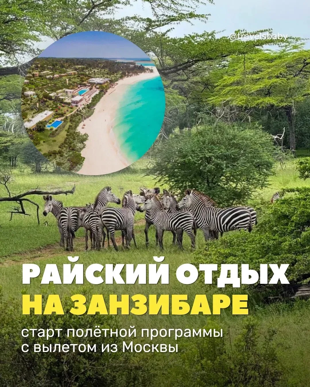 ЛЕТИМ В ТАНЗАНИЮ ЭТИМ ЛЕТОМ 💛🐘