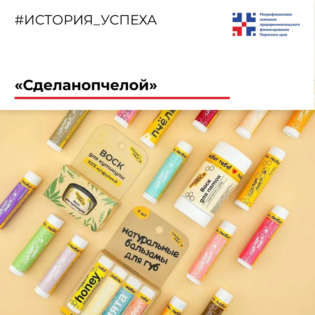 🐝Что делать, если пчёлы не принесли мёд?